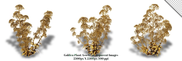 Un superbe rendu 3D d'une plante dorée qui ajoutera de la richesse et de l'élégance à n'importe quel design