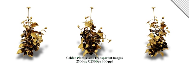Un superbe rendu 3D d'une plante dorée qui ajoutera de la richesse et de l'élégance à n'importe quel design