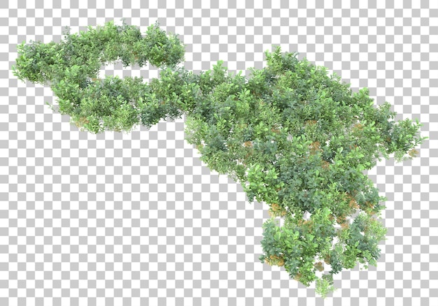 Superficie de hierba en la ilustración de renderizado 3d de fondo transparente