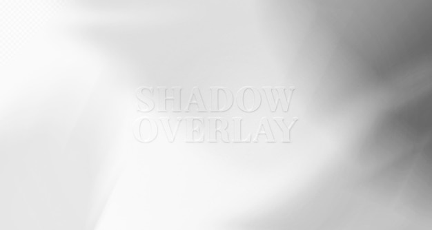 Superposición de sombras de luz natural borrosa en la textura del papel de pared maqueta de presentación de fondo abstracto