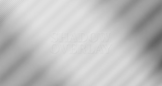 Superposición de sombras de luz natural borrosa en la textura del papel de pared maqueta de presentación de fondo abstracto