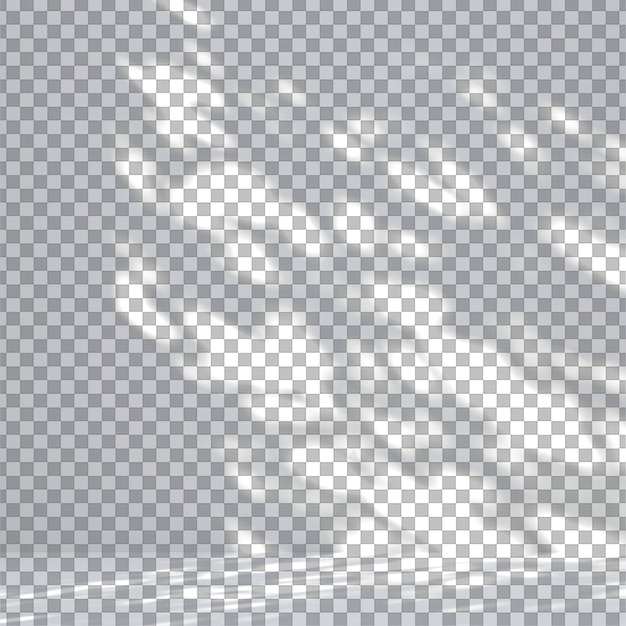 Superposición de sombras de luz de ventana elástica en fondo transparente para edición y diseño de fotos PNG