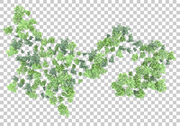 Surface D'herbe Sur Fond Transparent Illustration De Rendu 3d