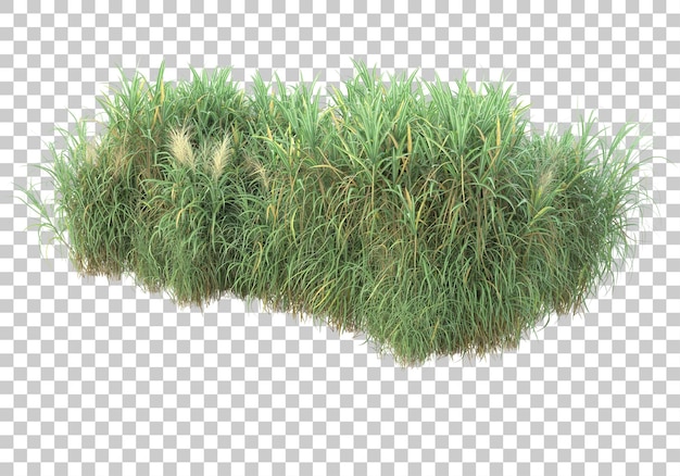Surface d'herbe sur fond transparent illustration de rendu 3d