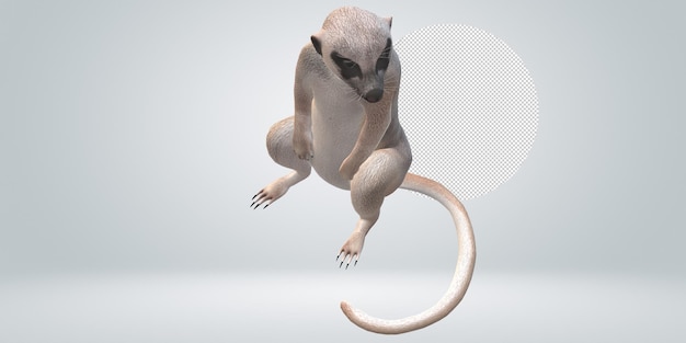 La suricata aislada en un fondo transparente