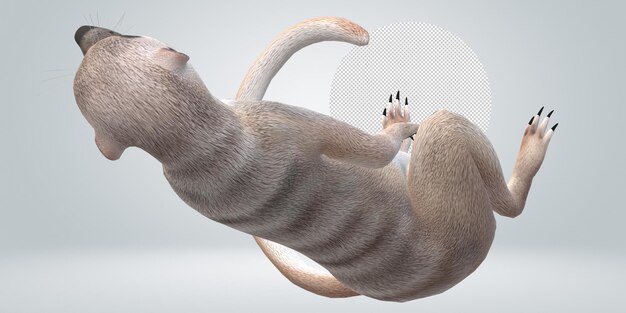 La suricata aislada en un fondo transparente