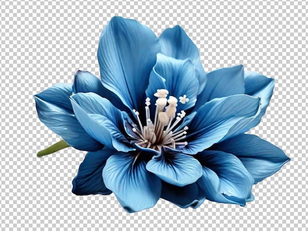 Surreale exotische blaue blume hoher qualität