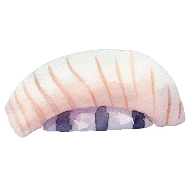 PSD sushi peint à l'aquarelle élément de design de fruits de mer frais dessinés à la main isolé sur fond blanc