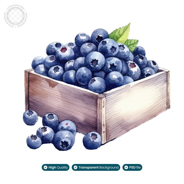PSD sweet temptation blueberry box aquarela splendor