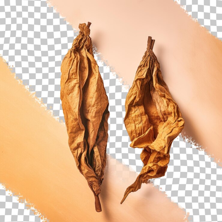 PSD tabaco secado sobre un fondo transparente