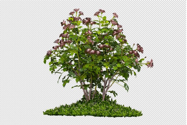 Tagliare il fiore nel rendering 3d