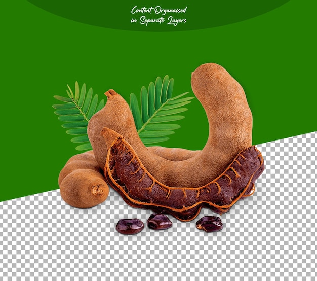 Tamarindo Frutto con foglia isolata su sfondo trasparente