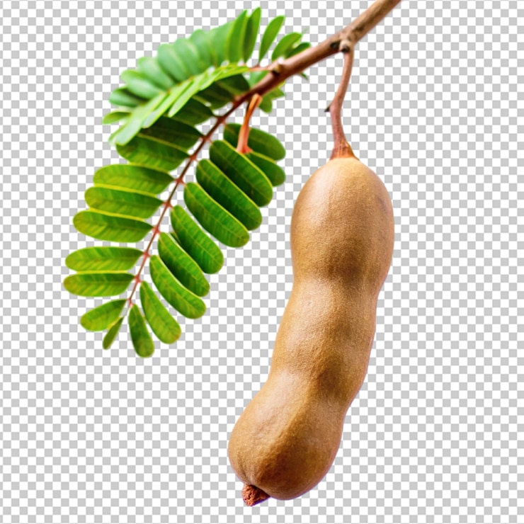 PSD tamarindo y sus derivados