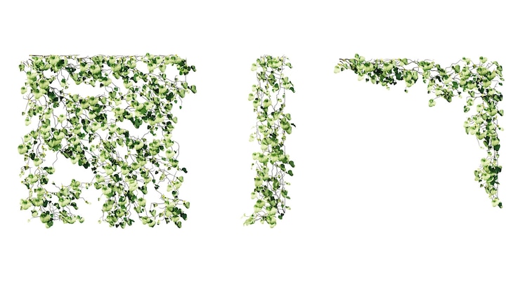 PSD tanaman rambat ivy di dinding terisolasi pada ilustrasi modern latar belakang transparan tanaman dengan daun hijau