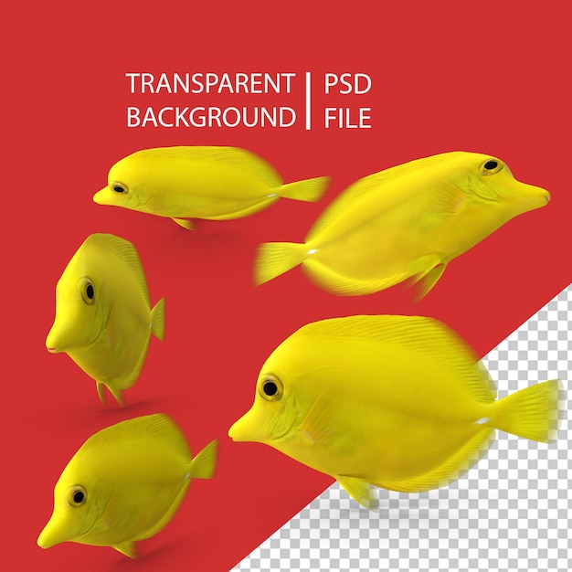 PSD tang amarelo png