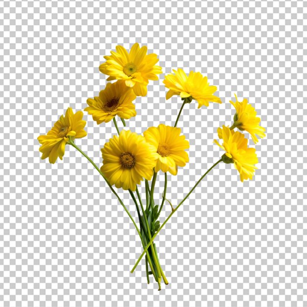 PSD tansy-blumen auf durchsichtigem hintergrund