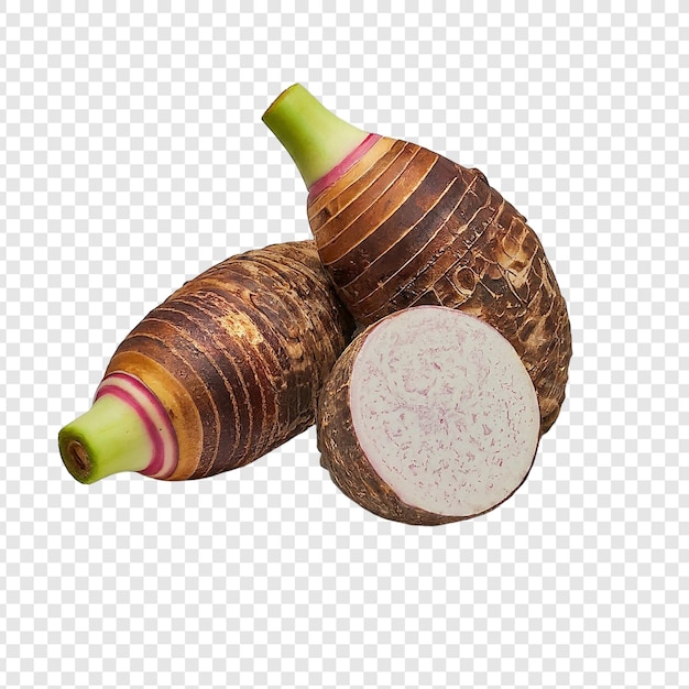 taro crudo y en rodajas png aislado en fondo transparente PSD premium