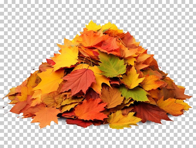 PSD tas de feuilles d'automne isolé sur fond transparent png psd