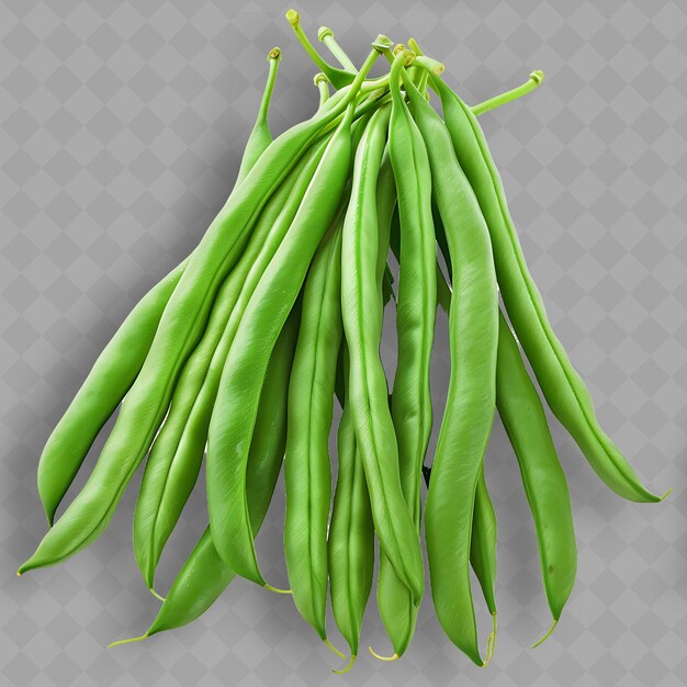 PSD un tas de haricots verts qui sont accrochés à un fil