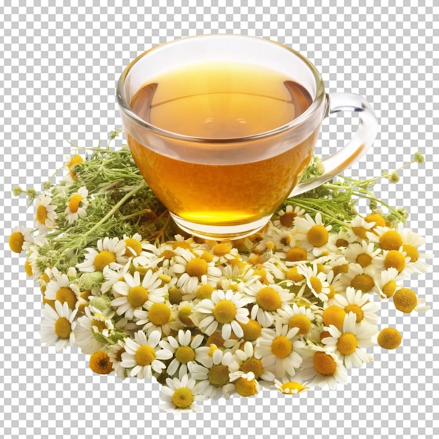 Té de hierbas sobre un fondo transparente