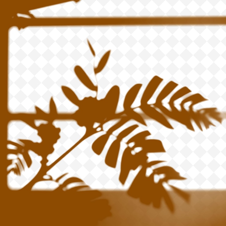 PSD teak leaf shadows casting grandes formas parecidas com remos suave bold l png sombra cast ilustraçãosi