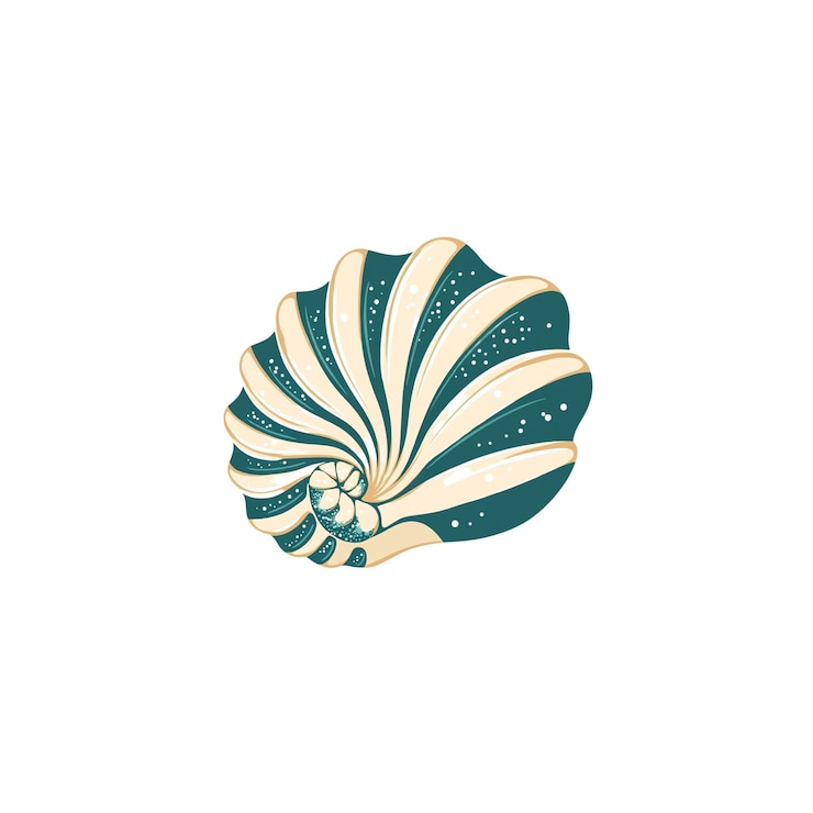 PSD teal and beige nautilus shell illustration