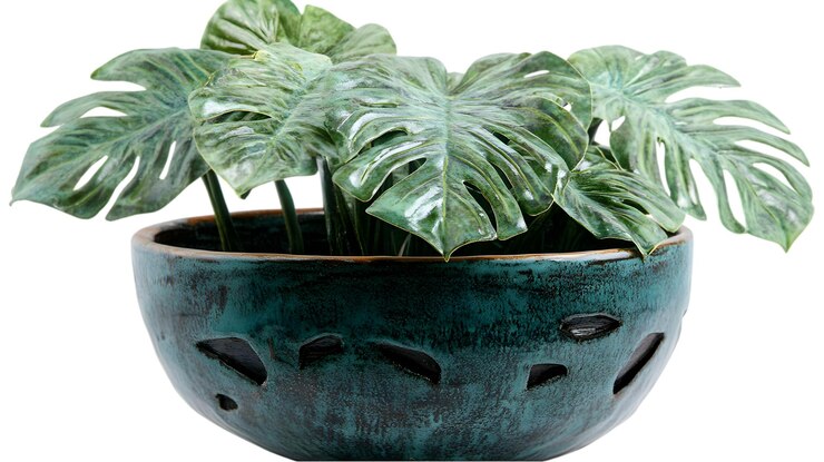 PSD teal keramikpflanzer mit monstera-pflanze