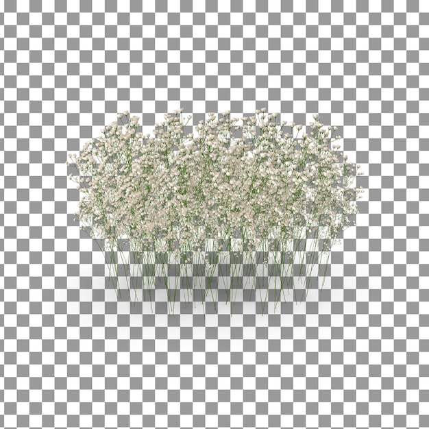Techo de vidrio PSD 3D en fondo aislado y transparente