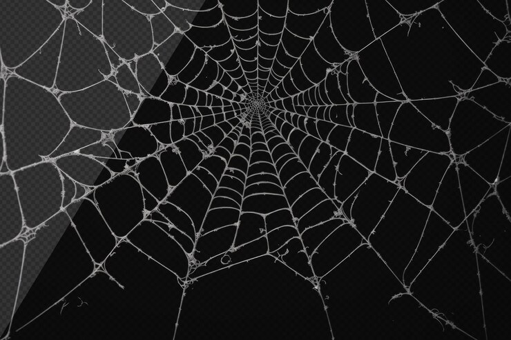 PSD teia de aranha fotorrealista