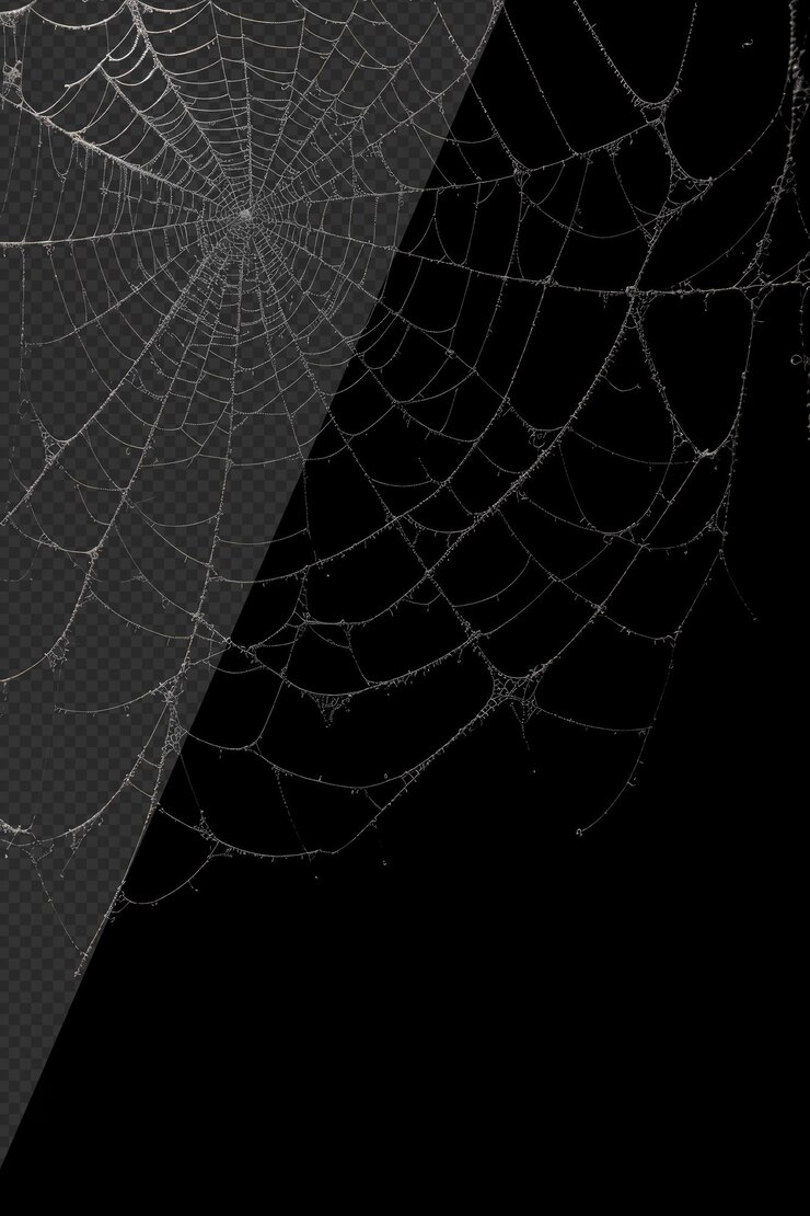 PSD teia de aranha fotorrealista