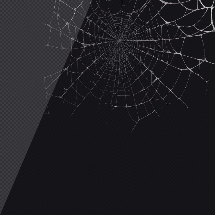 PSD teia de aranha fotorrealista