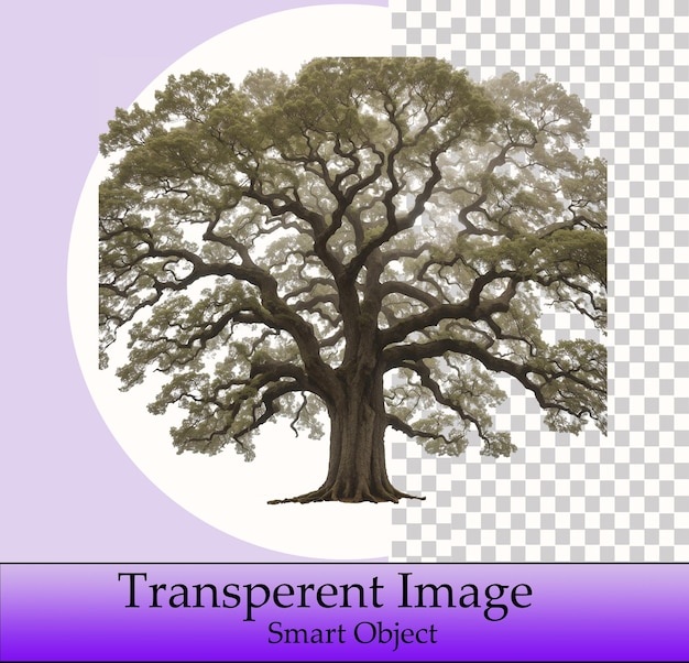 Template-Baum-Smart-Objekt-transparentes Bild