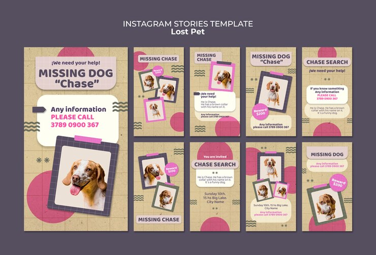 PSD template di storie di instagram di animali domestici persi
