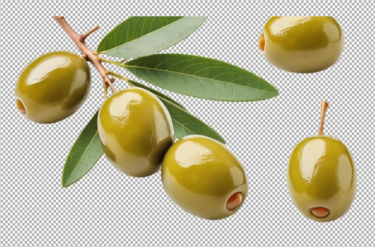 PSD la temporada de la cosecha de las aceitunas verdes trae alegría