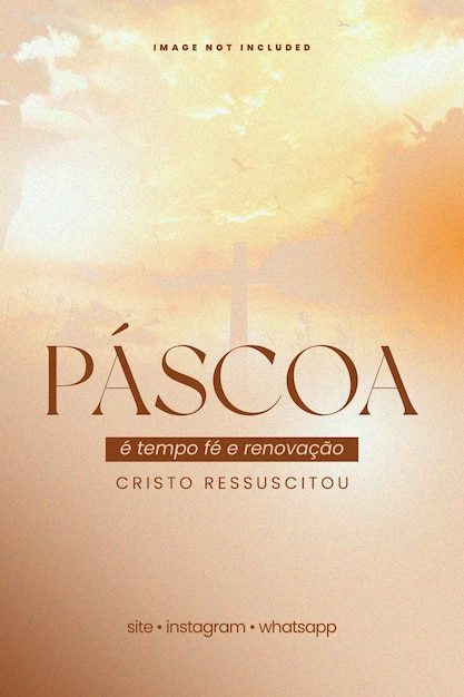Le temps de Pâques pour la foi et le renouveau Le Christ est ressuscité
