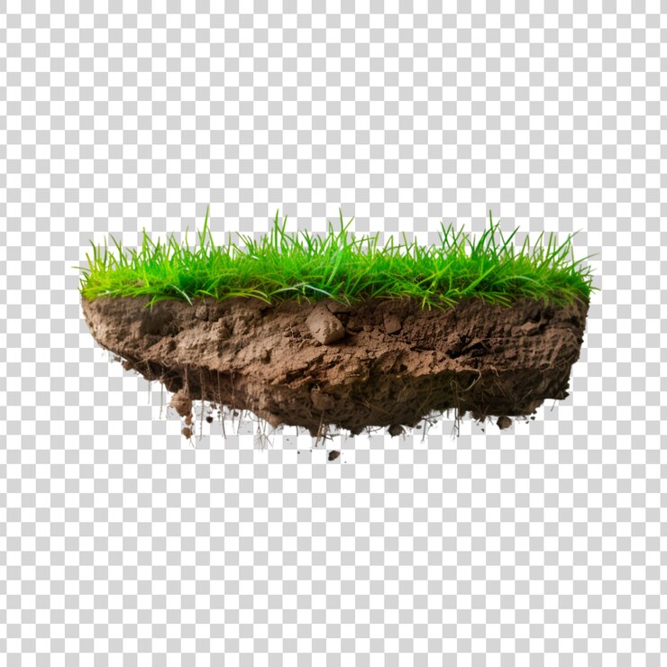 PSD terra 3d galleggiante con superficie erbosa e radici di alberi su uno sfondo trasparente