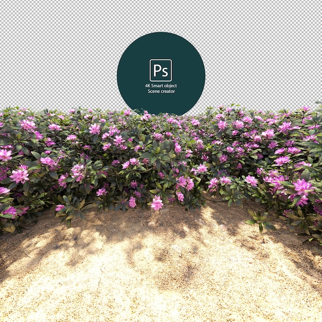 PSD terrain entouré de fleurs isolé