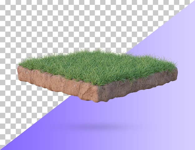 Terrain de podium en herbe. Terrain d'herbe réaliste