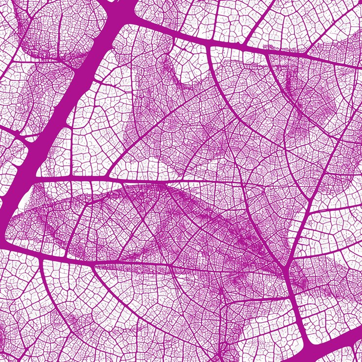 PSD testura della rete delle vene fogliarie con ramificazione vascolare e intrica png decorazione di sfondo di sovrapposizione creativa
