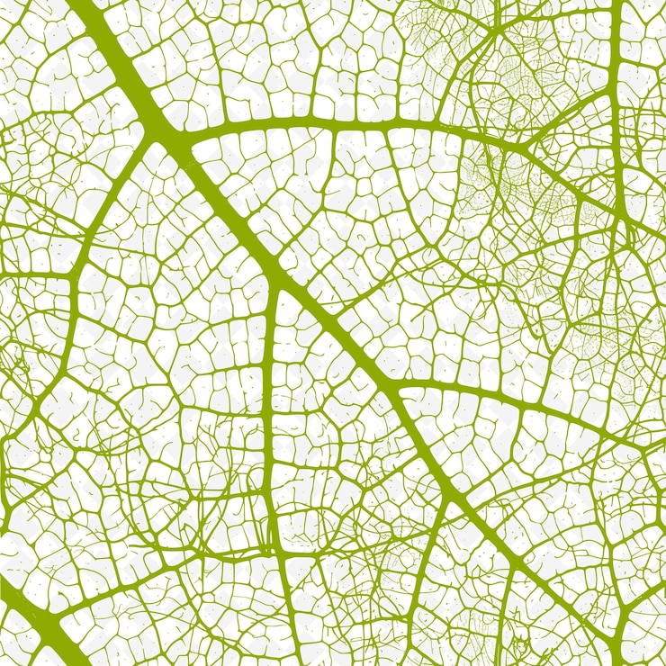 PSD testura delle vene delle foglie con ramificazione irregolare e sparse patte png decorazione di sfondo di sovrapposizione creativa