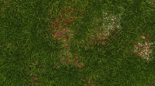Textur des grünen Grases