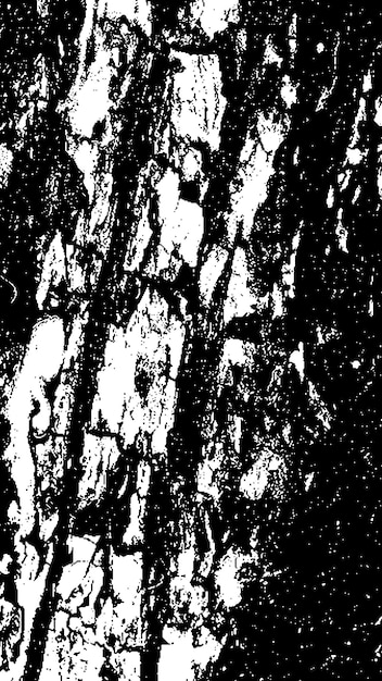 Textura černé kůry stromu. Kůra na bílém pozadí. Pozadí starého stromu. Vektorová dřevěná grunge textura