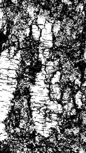 Textura de corteza de árbol negra Corteza sobre un fondo blanco Vector de fondo de árbol viejo textura de grunge de madera
