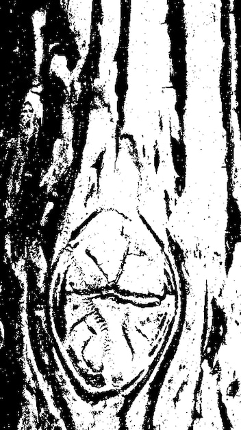 Textura de corteza de árbol negra Corteza sobre un fondo blanco Vector de fondo de árbol viejo textura de grunge de madera