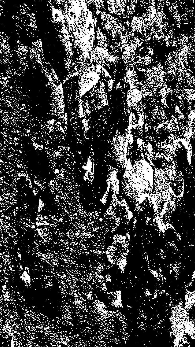 PSD textura de corteza de árbol negra corteza sobre un fondo blanco vector de fondo de árbol viejo textura de grunge de madera