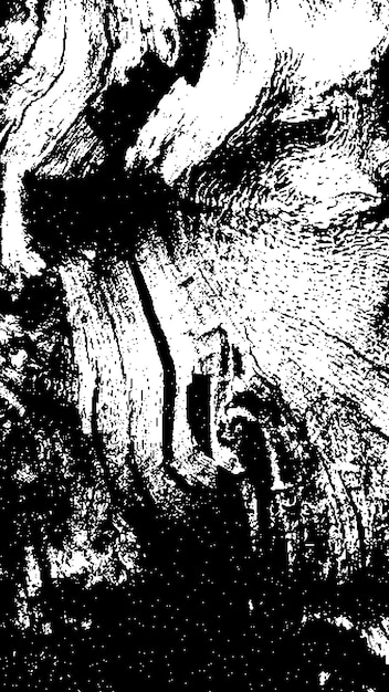 Textura de corteza de árbol negra Corteza sobre un fondo blanco Vector de fondo de árbol viejo textura de grunge de madera