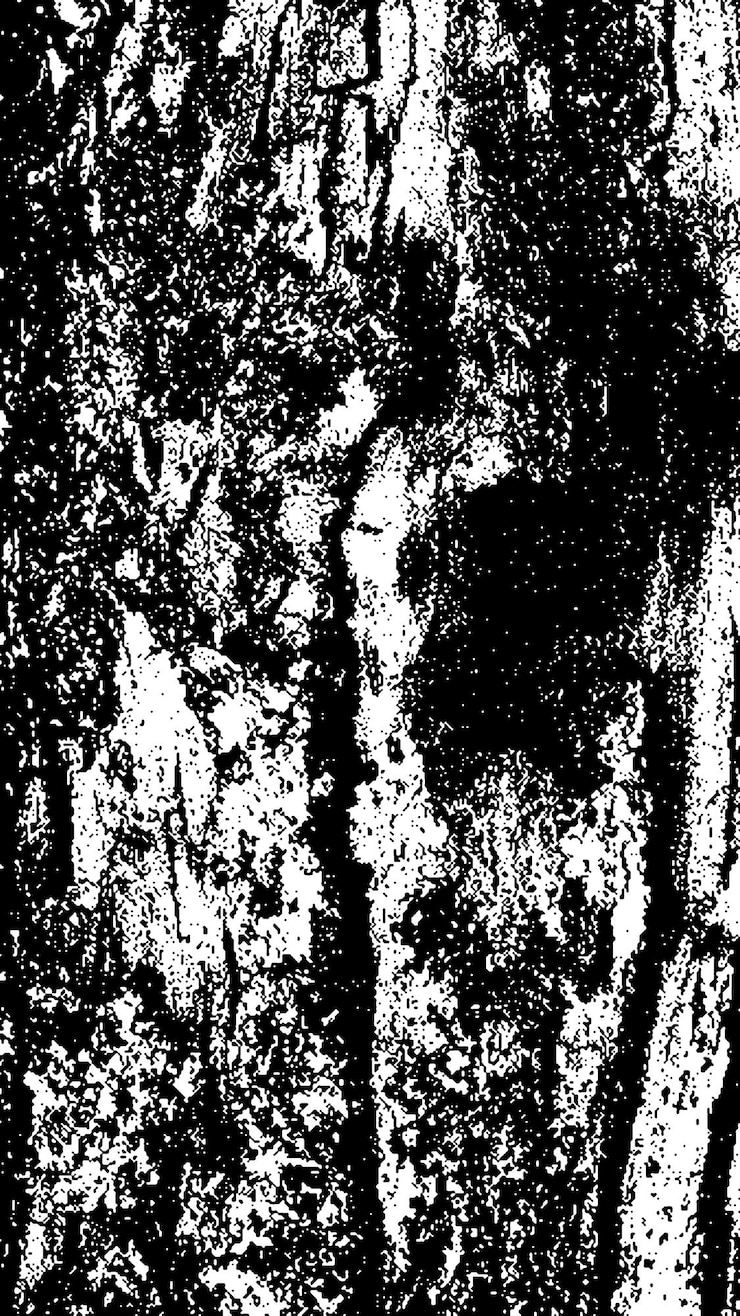PSD textura de corteza de árbol negra corteza sobre un fondo blanco vector de fondo de árbol viejo textura de grunge de madera