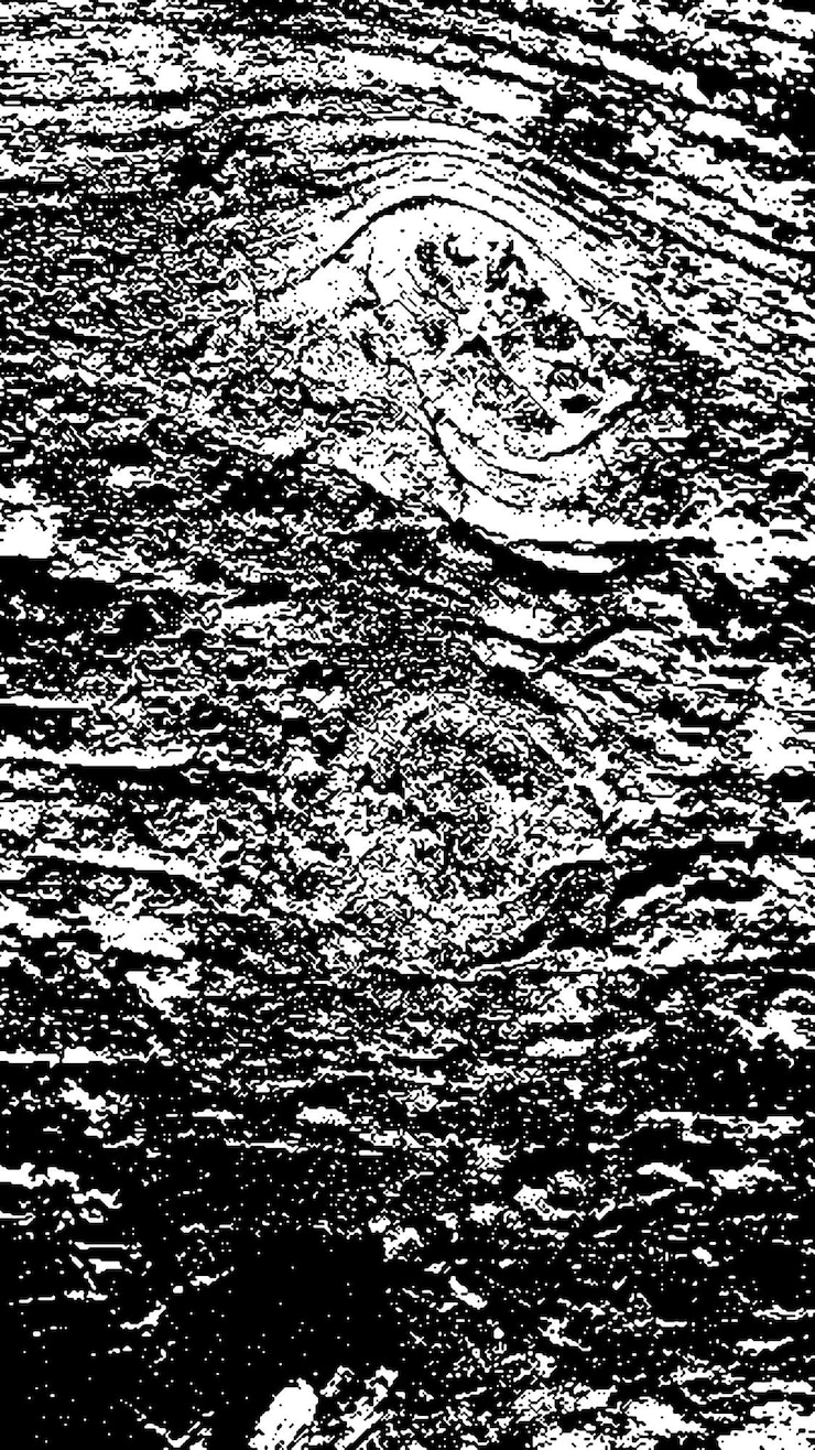 PSD textura de corteza de árbol negra corteza sobre un fondo blanco vector de fondo de árbol viejo textura de grunge de madera