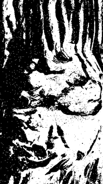 Textura de casca de árvore preta Casca em fundo branco Vector de fundo de árvore velha textura de grunge de madeira