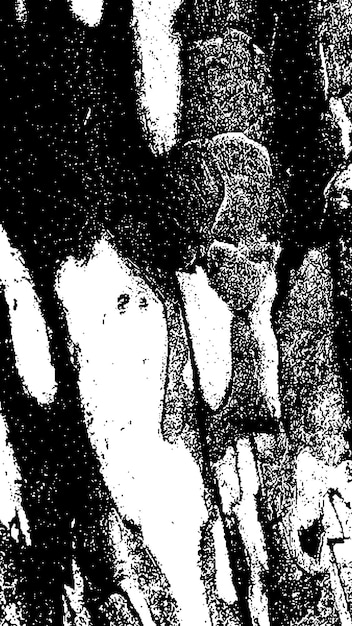 Textura de casca de árvore preta Casca em fundo branco Vector de fundo de árvore velha textura de grunge de madeira